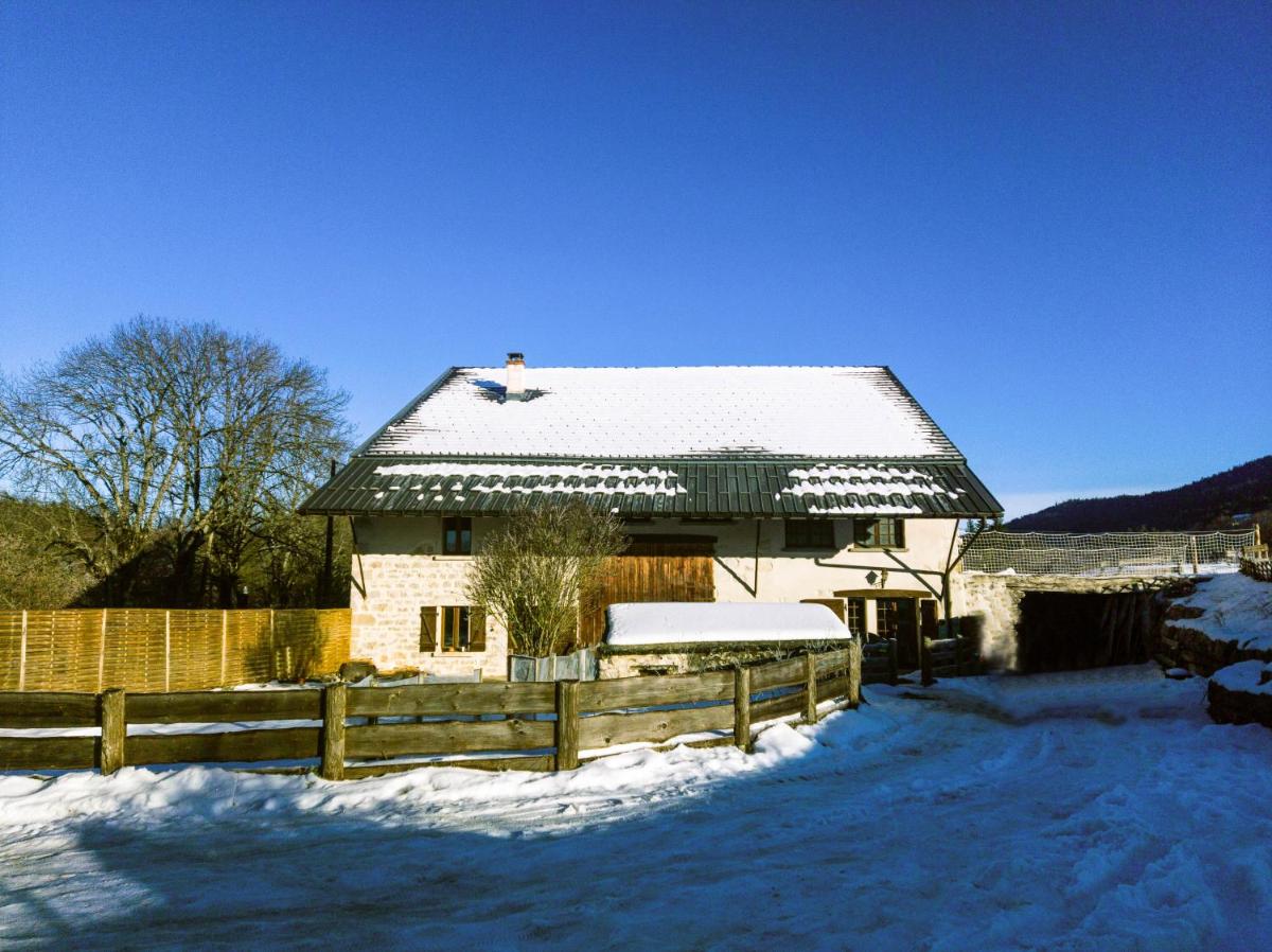 La luge - Housity