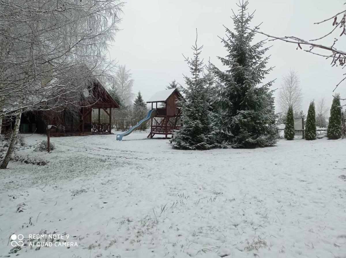 Brzozowy Chillout - Housity