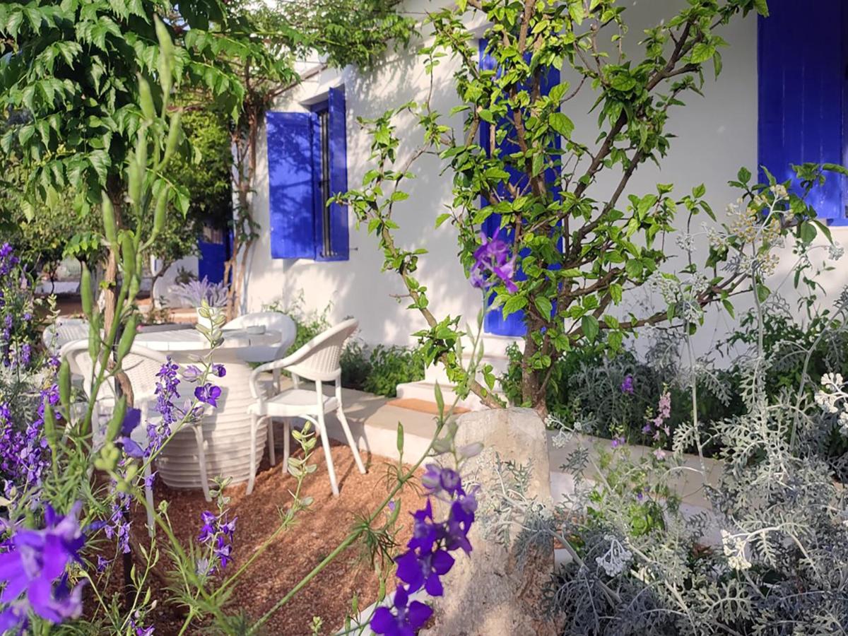 Anticlea II - Housity