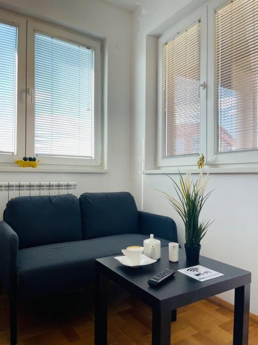 New modern Rooftop Apartment-FREE PRIVATE PARKING - Housity