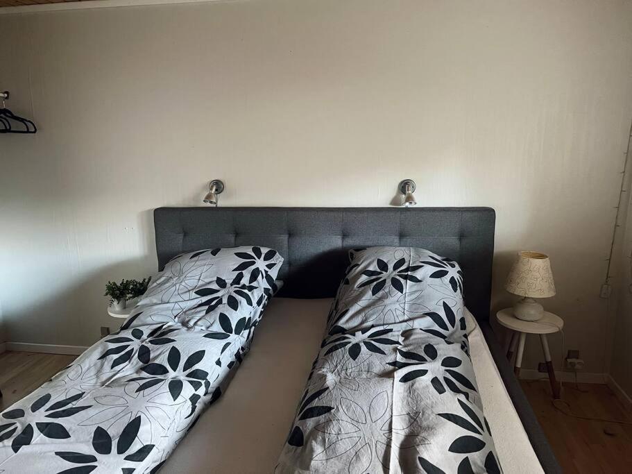 Cosy apartment in Oyndarfjørður - Housity