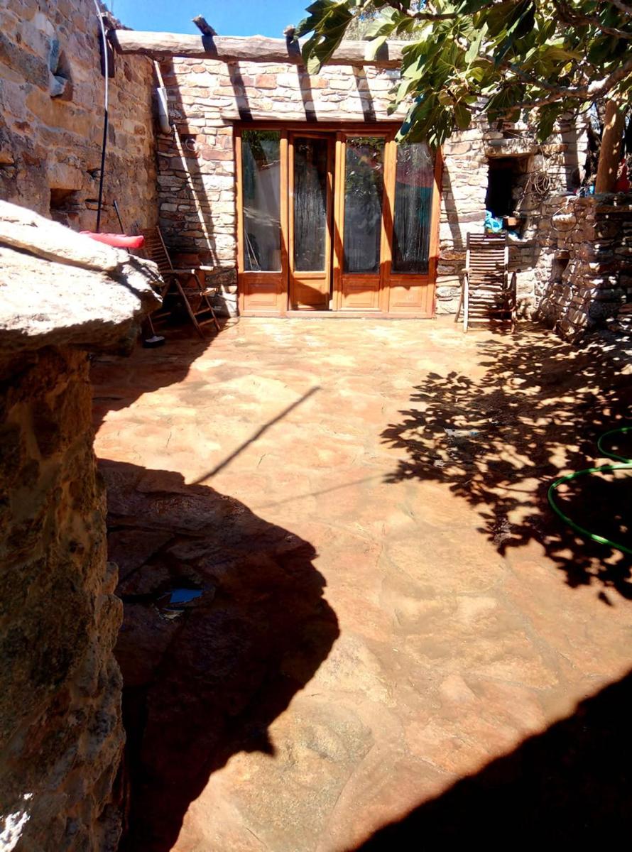 The Wise Olive Tree - Housity