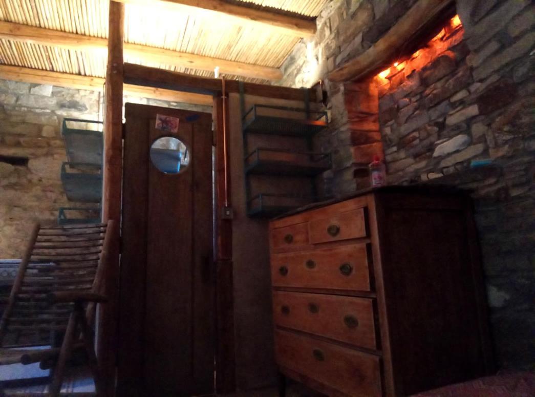 The Wise Olive Tree - Housity