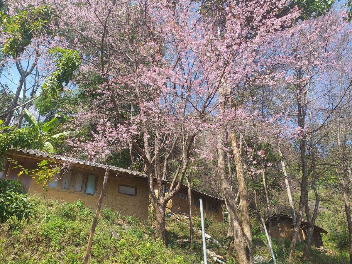A ma te le Farmstay ดอยปู่หมื่น - Housity