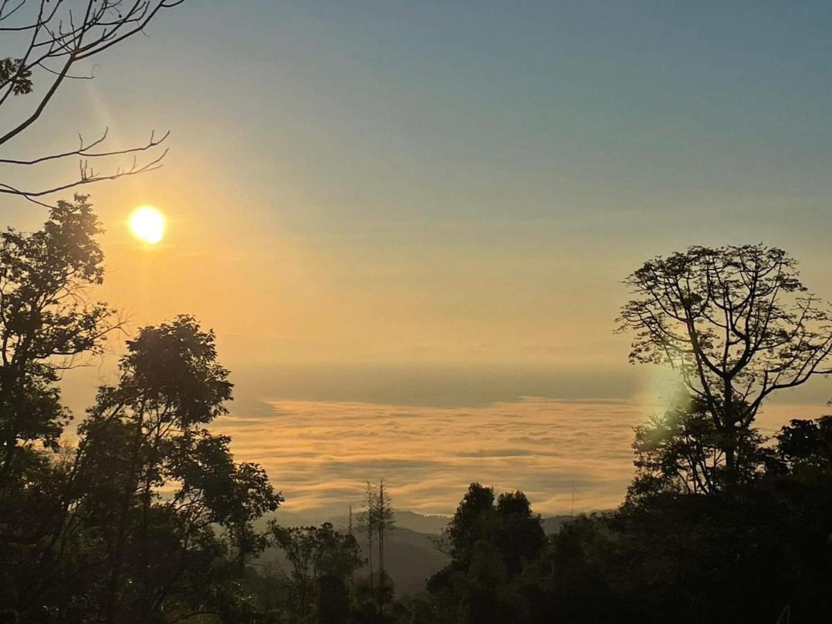 A ma te le Farmstay ดอยปู่หมื่น - Housity