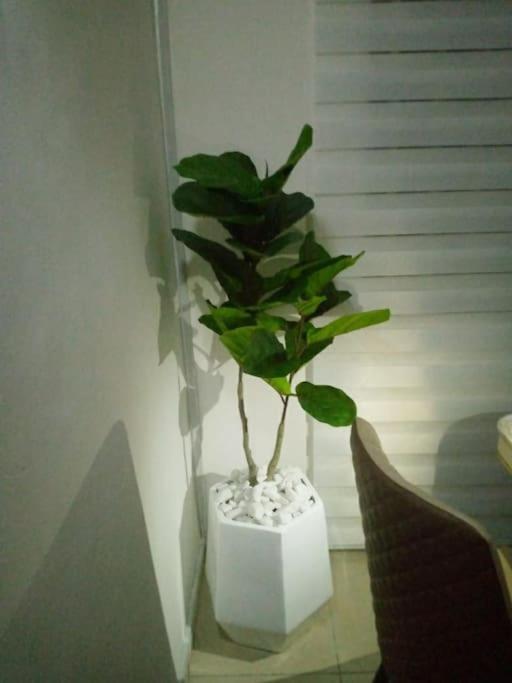 Suitetrails - Spacious 1 bed Ikoyi Flat with Wi-Fi and Pool