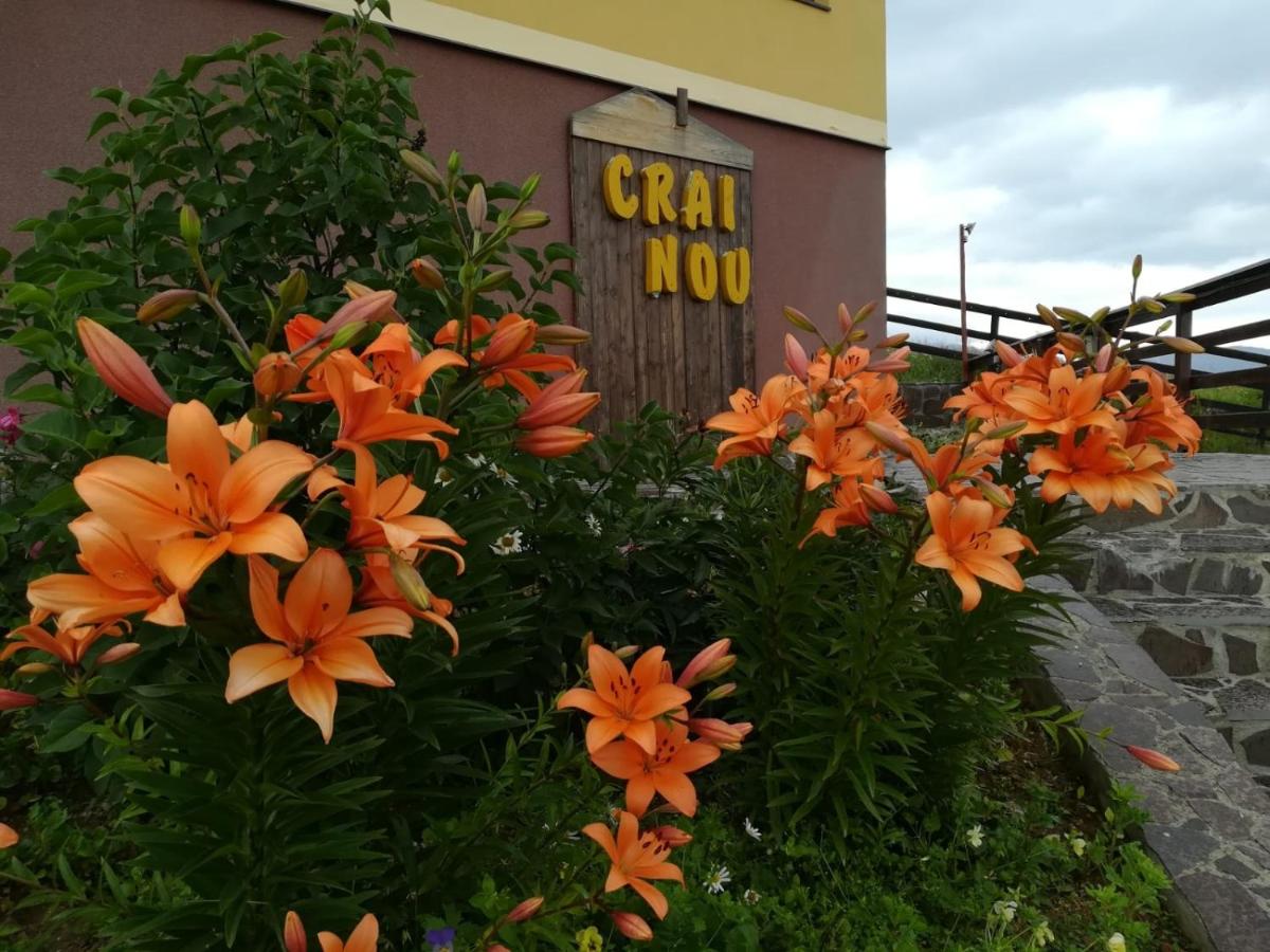 Pensiunea Crai Nou - Housity