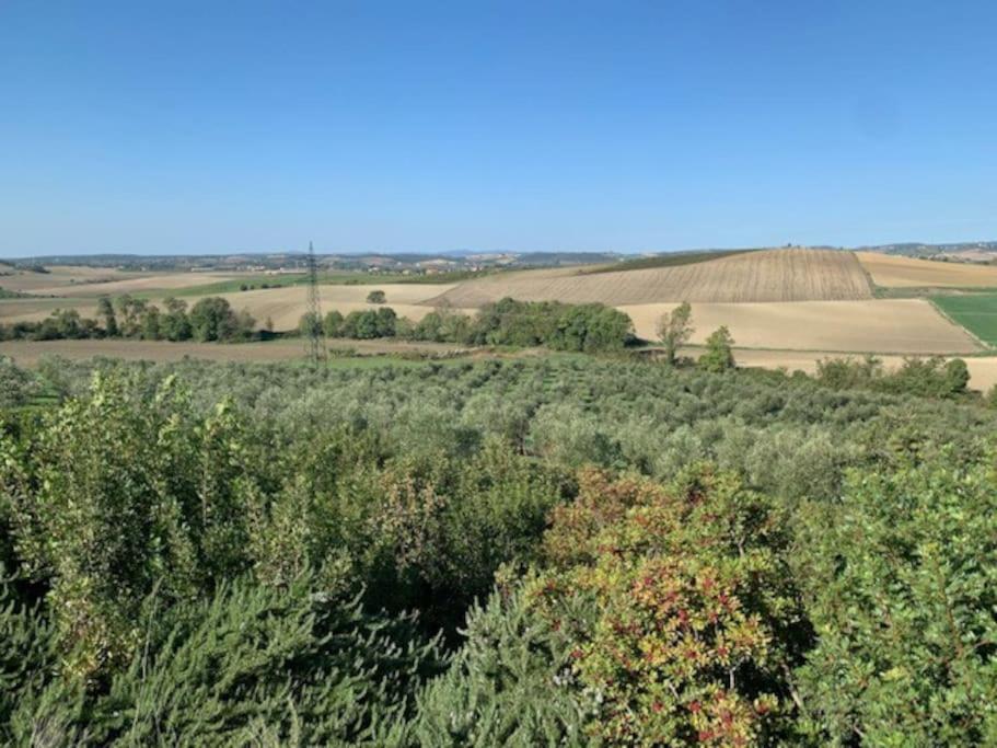 Bellissima Villa Piscina, Toscana mare e Saturnia - Housity