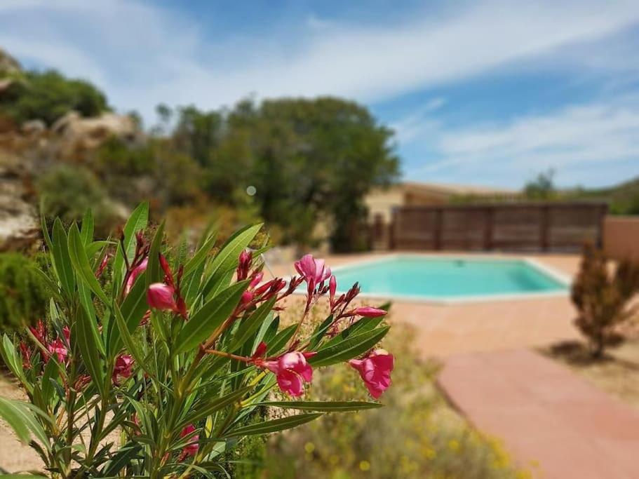 Holiday Home Villa Alice - Housity