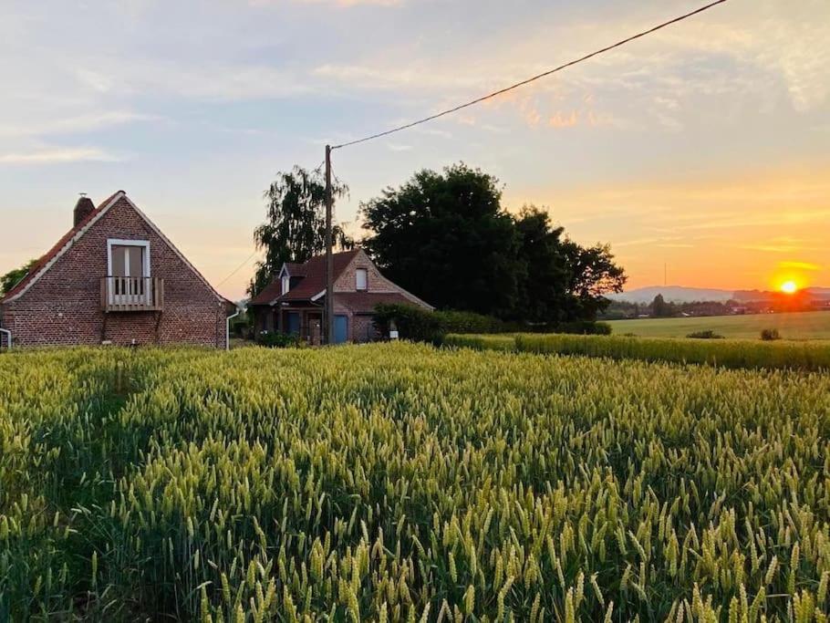 Cottage chaleureux au cœur des Monts de Flandres - Housity