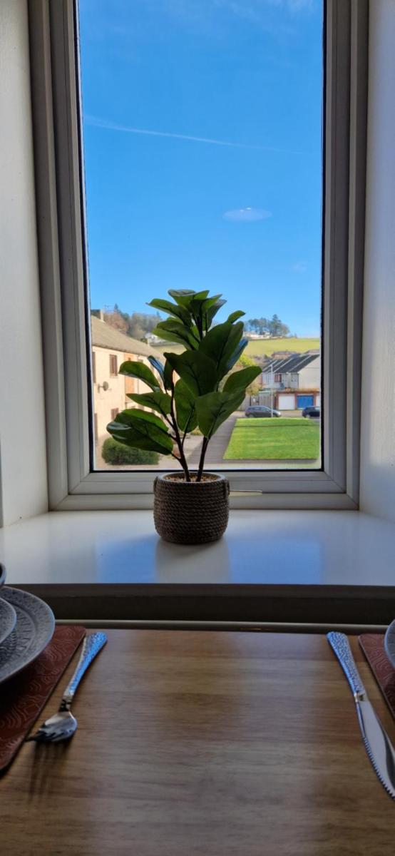 Mains Street Retreat - Housity