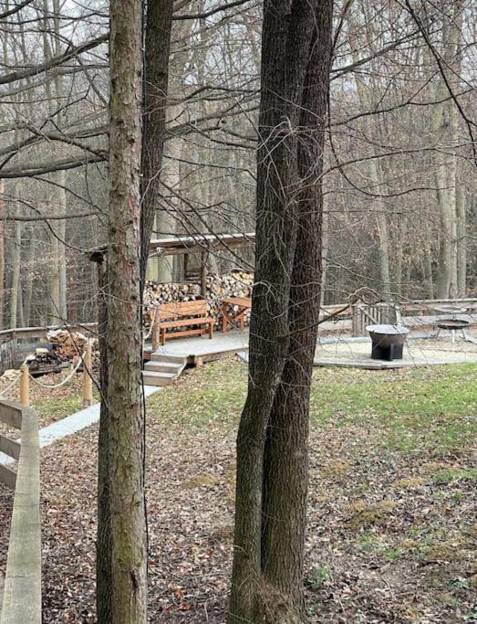 Waldhütte Fuchsbau - Housity