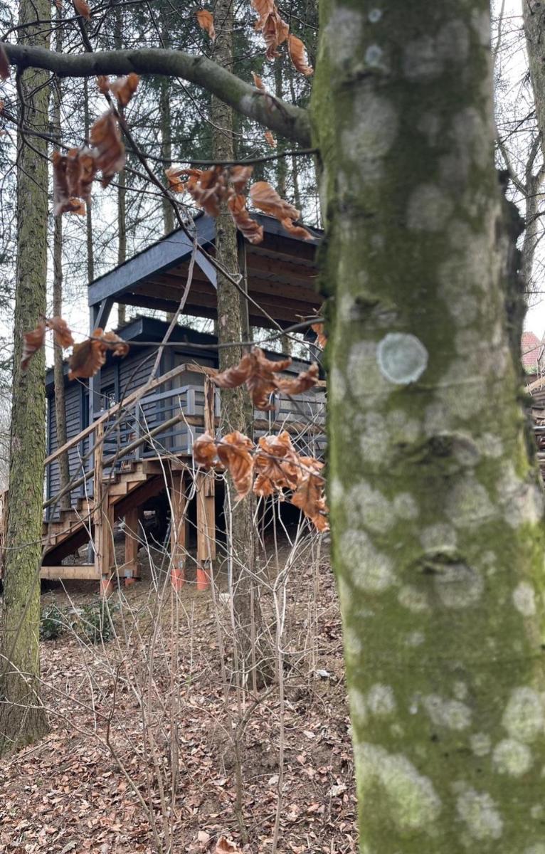 Waldhütte Fuchsbau - Housity