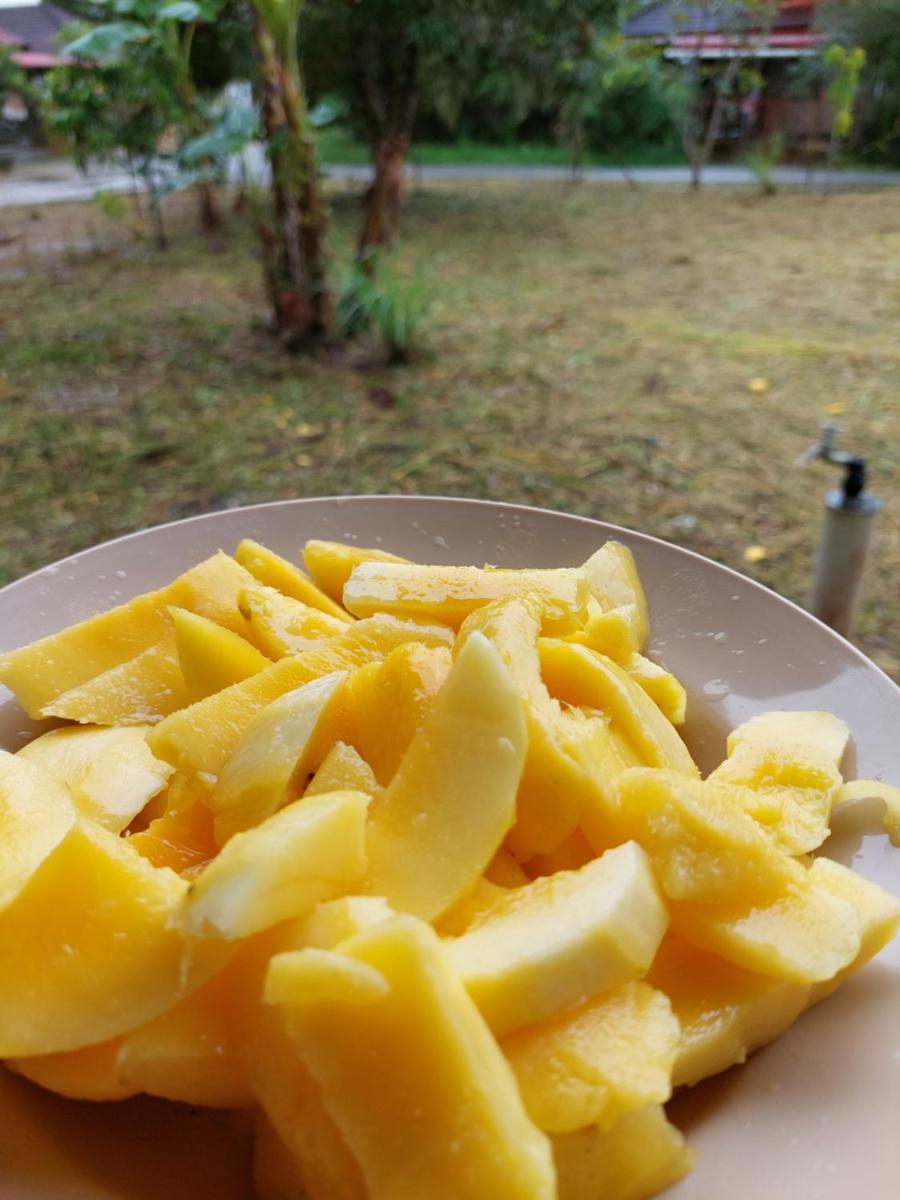 Suitetrails - HOMESTAY BONDA PASIR MAS, KELANTAN