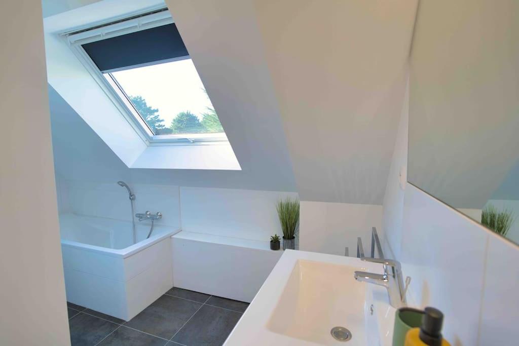 Sea, Surf and Sun - Housity