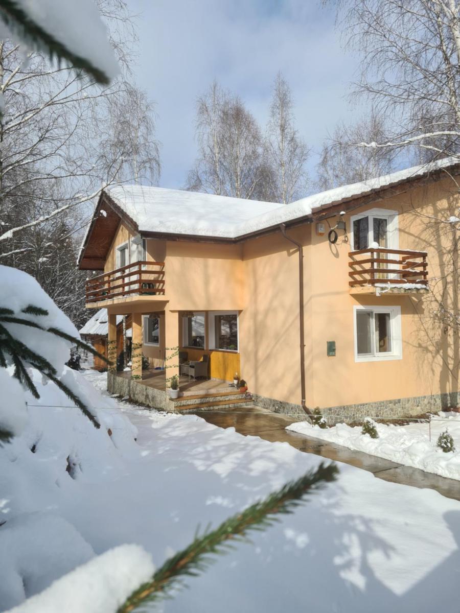 CASA VISTISOARA - Housity