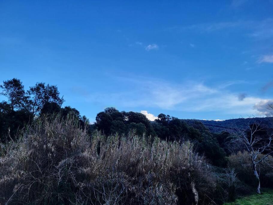 U caseddu - Housity