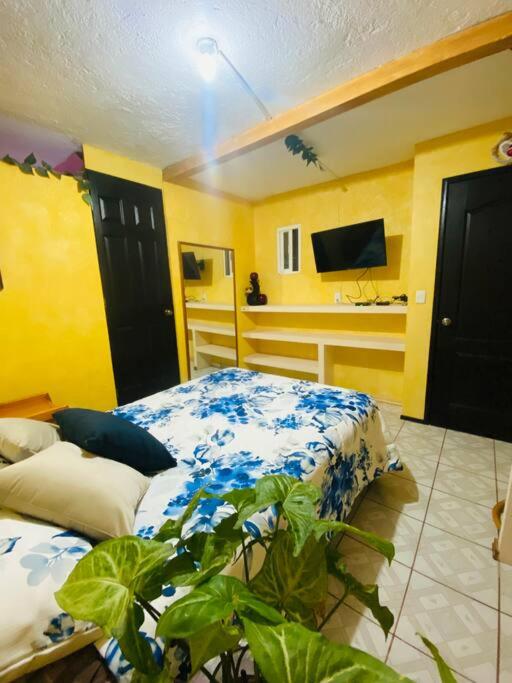 Casa Camilo - Cozy, central and nice separe room - Housity