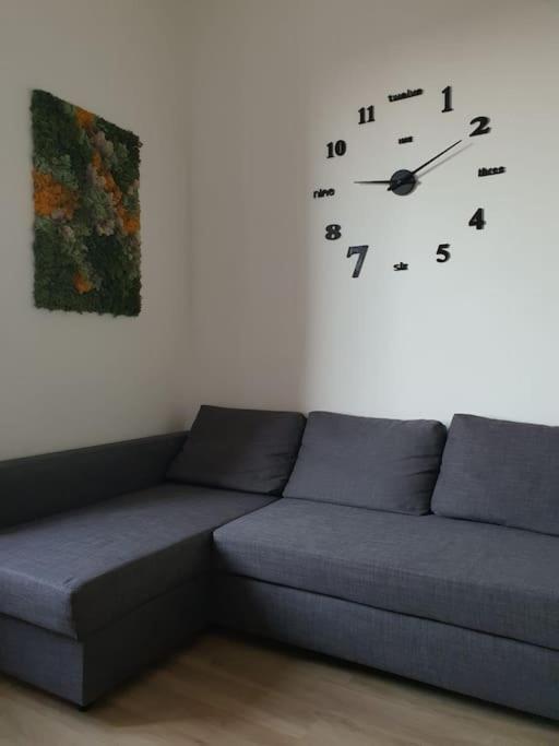 The Yellow Apartment - Housity