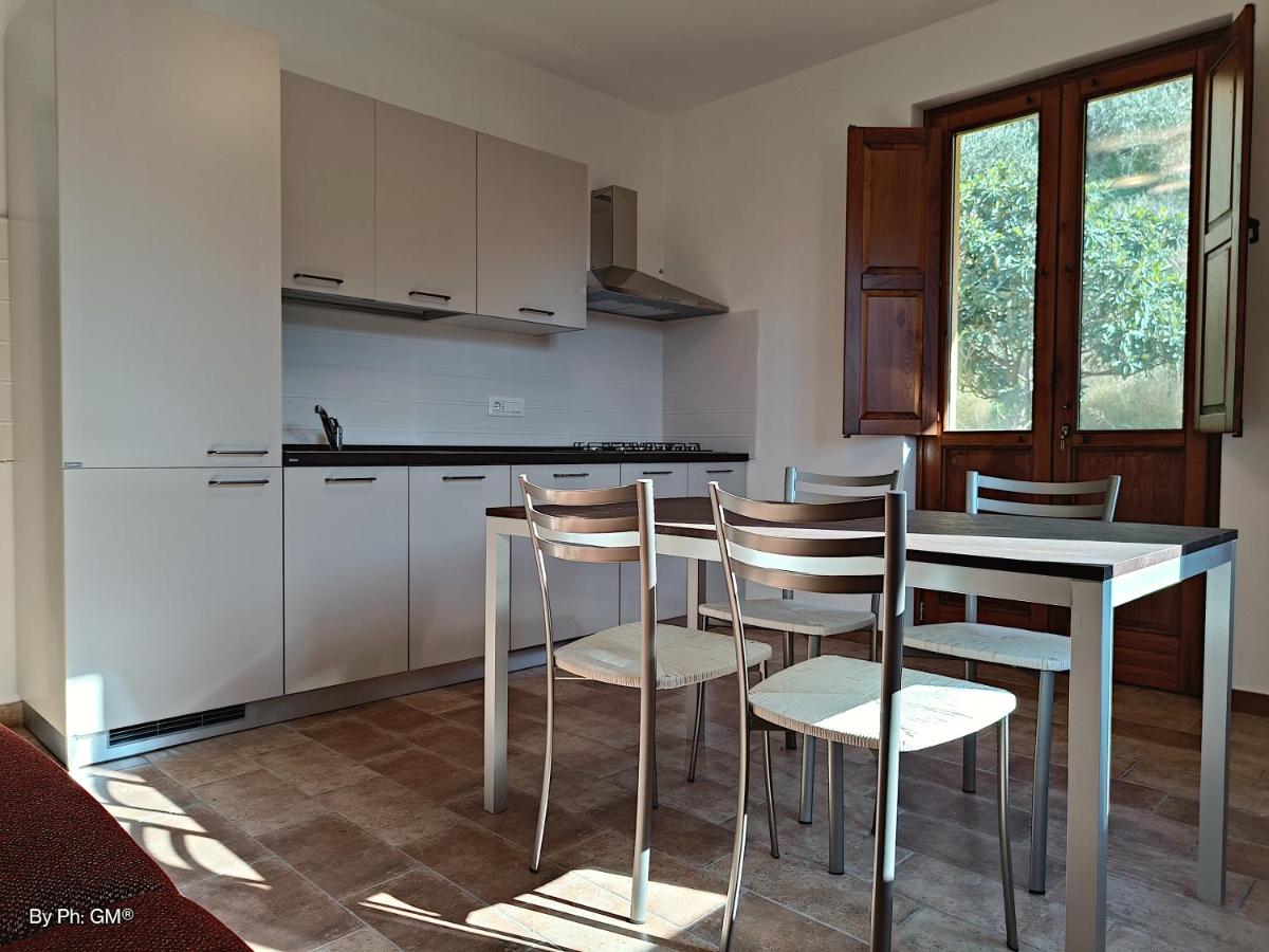 Villa Le Palme - Housity