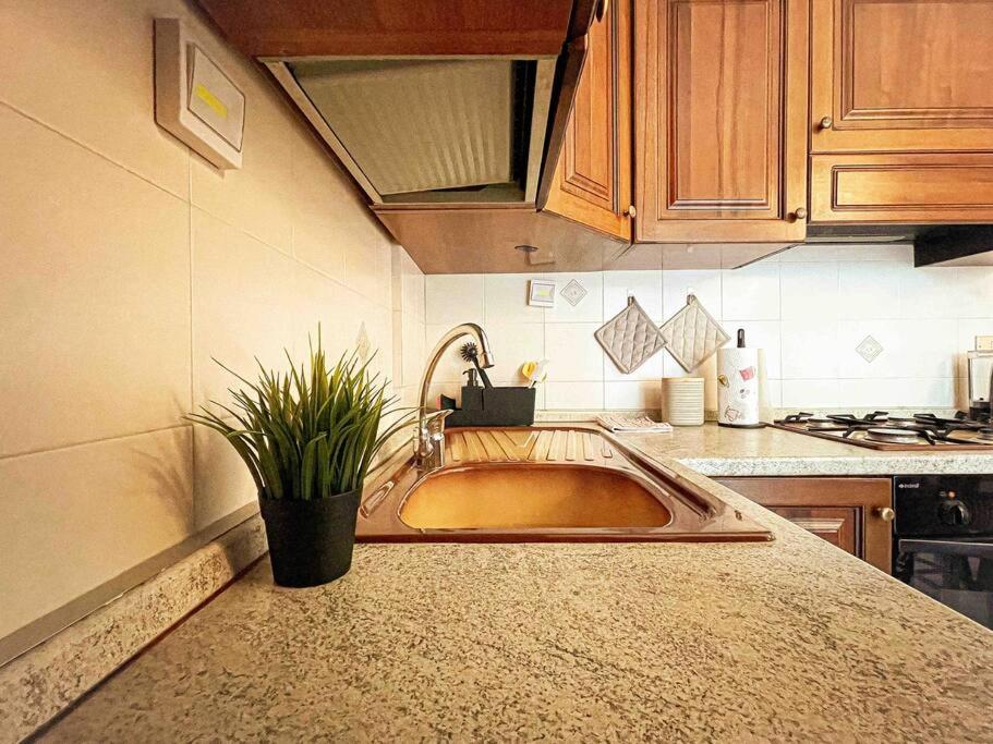 Papini's Home: Monza - Housity