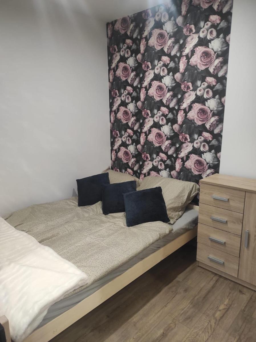 Wa?brzych pi?suckiego news apartament - Housity