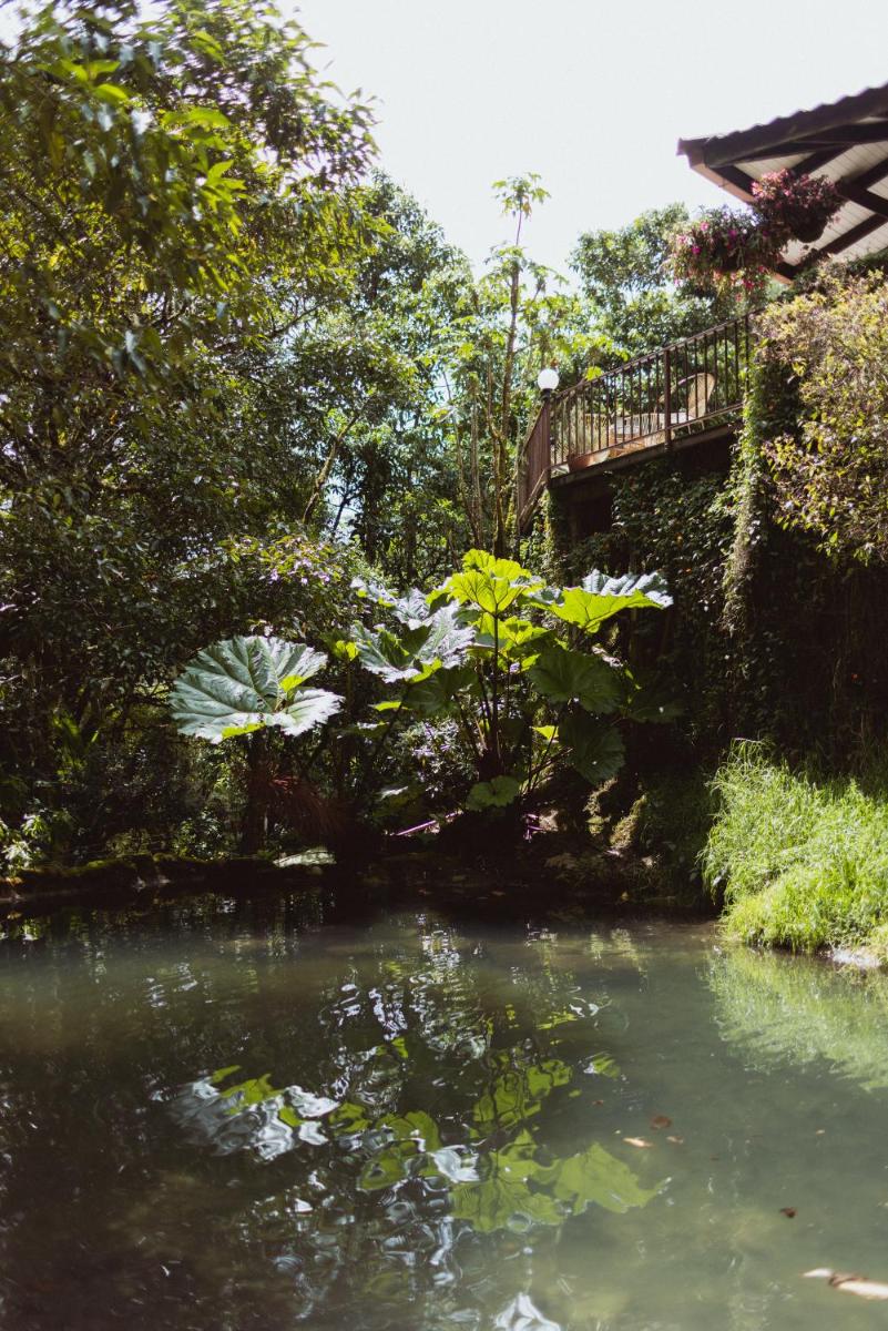 Trogon Lodge - Housity