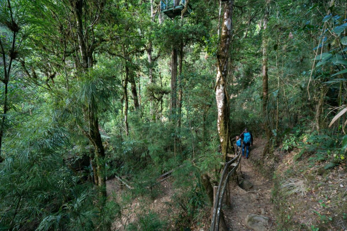 Trogon Lodge - Housity