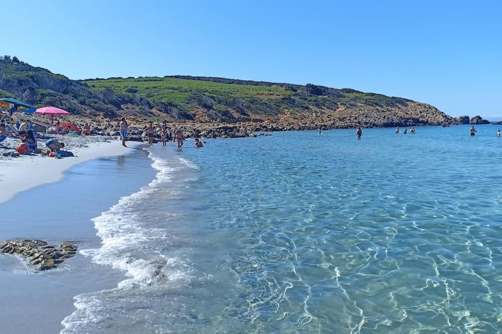 Sardegna casa con giardino ,piscina a 3km dal mare - Housity