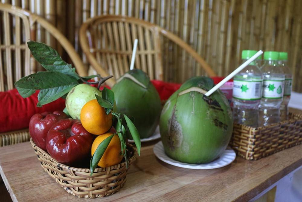 Coco Island Cồn Phụng - Housity