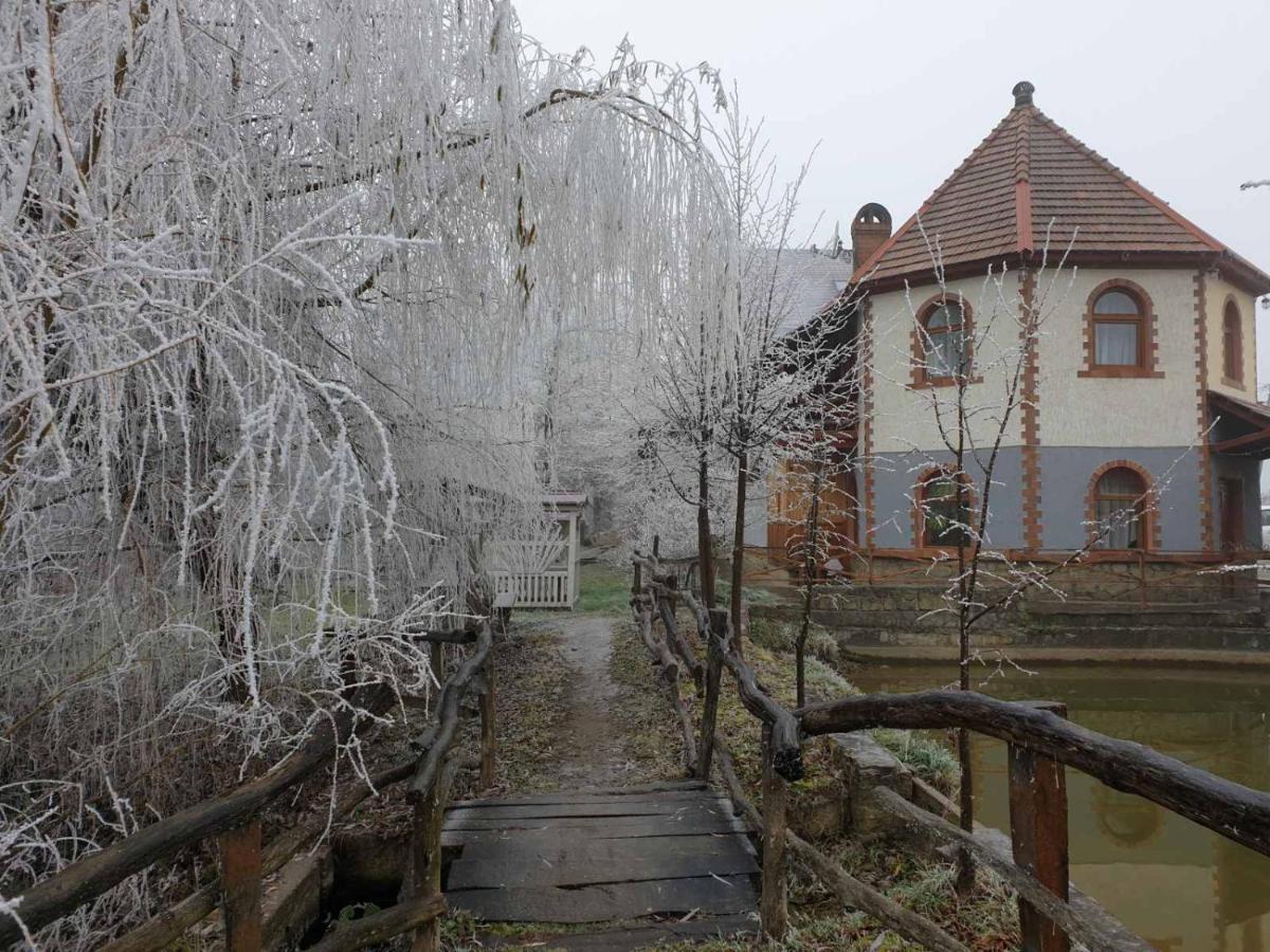 Ворота Карпат - Housity