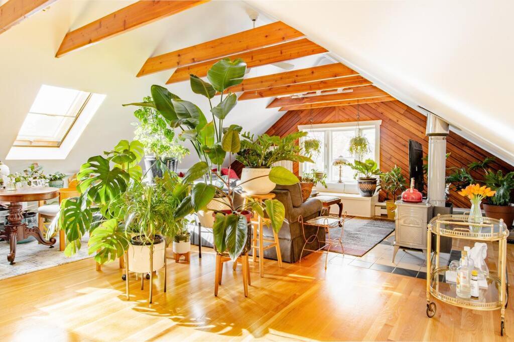 Urban Oasis in Hope Village - Housity