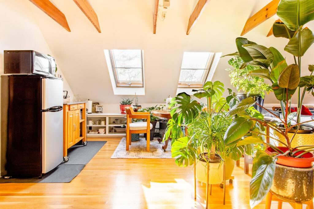 Urban Oasis in Hope Village - Housity
