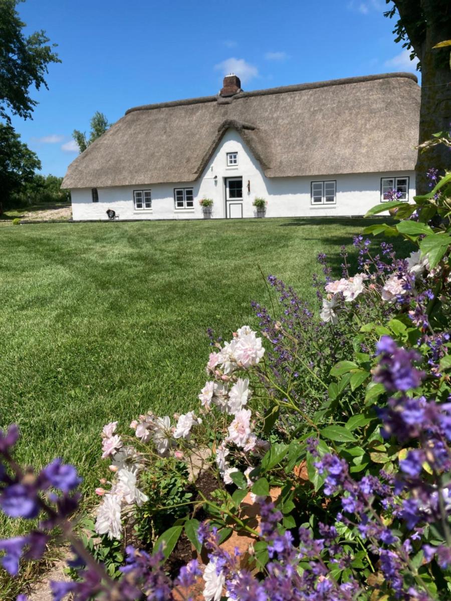 Reetdachhaus, Sauna, E-Bikes, 6 Personen - Housity