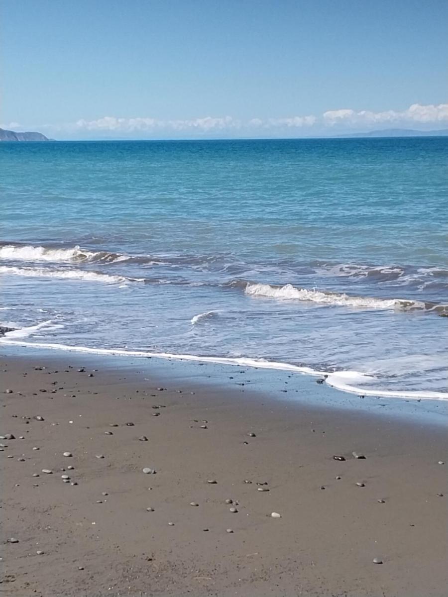 Rarangi Seaview On the Beach B&B - Housity