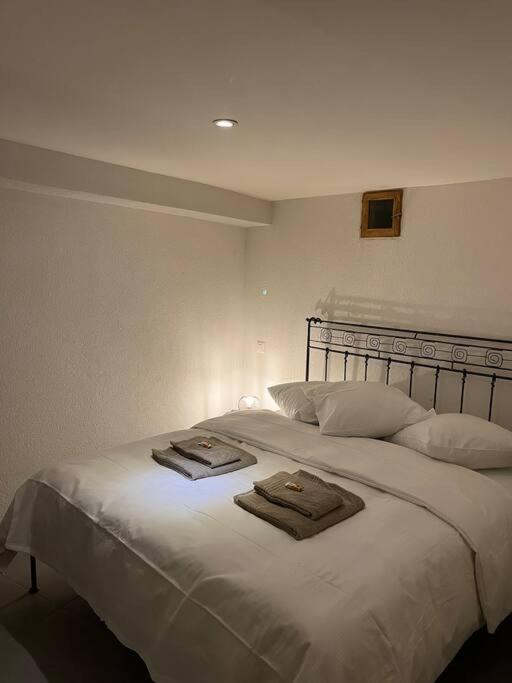 Appartement rénové - Housity