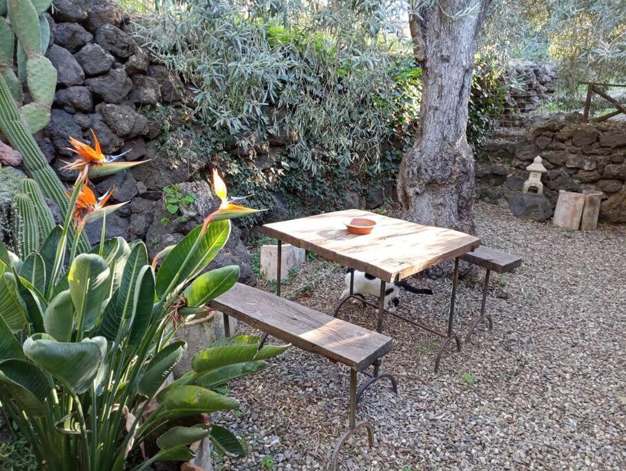 Oriente dell'Etna Luogo di quiete e cura di sé - Housity