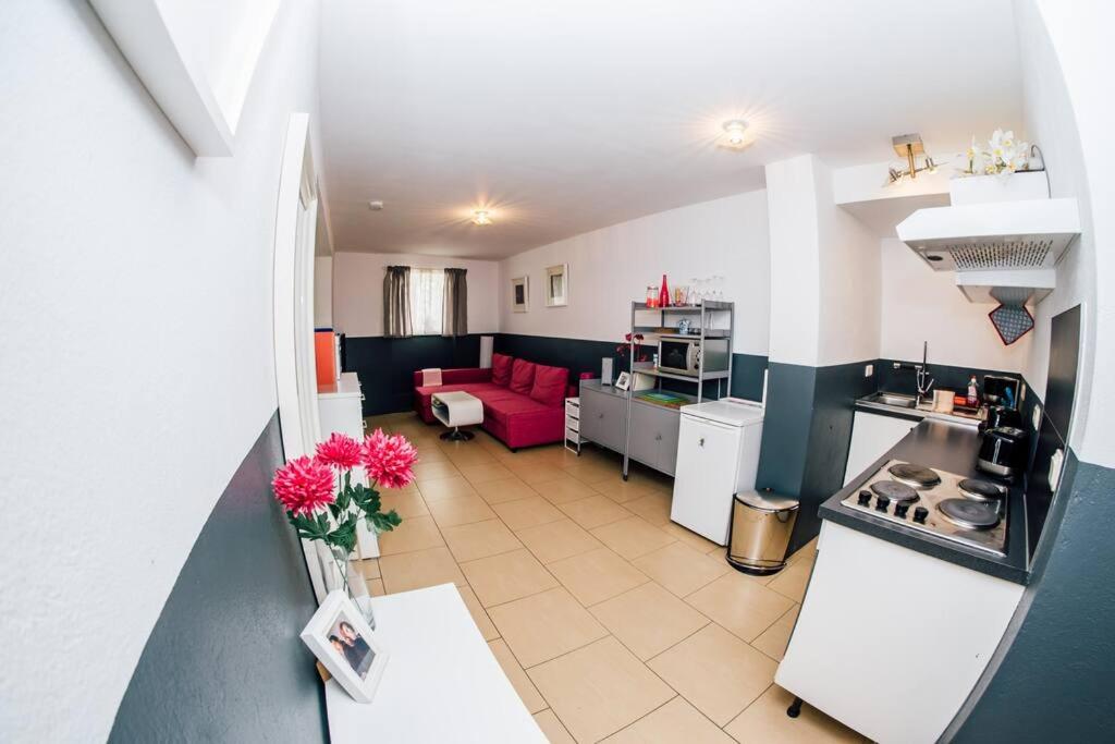Apartment at Rostock - PINK - Hizvo