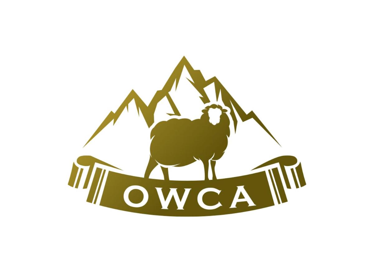 Owca Studio dwuosobowe - Housity