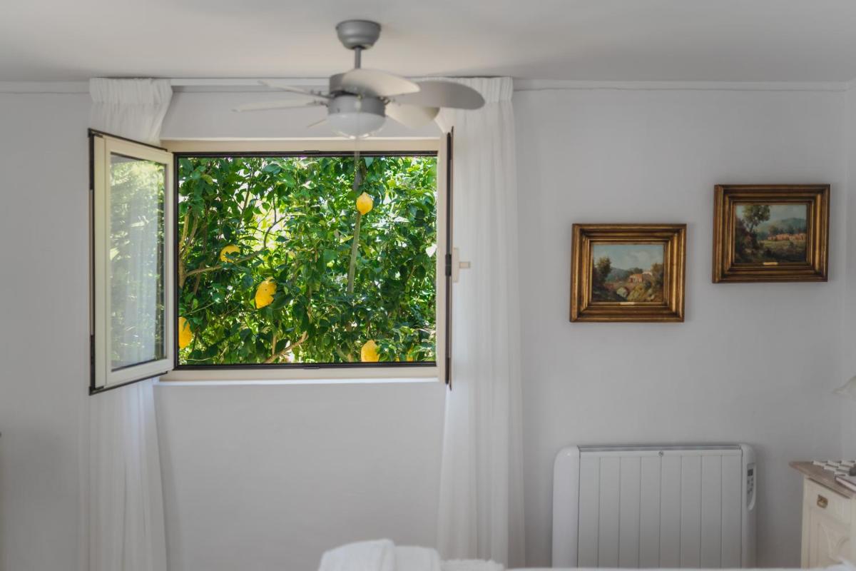 Casa da Luisinha - Country House - Housity