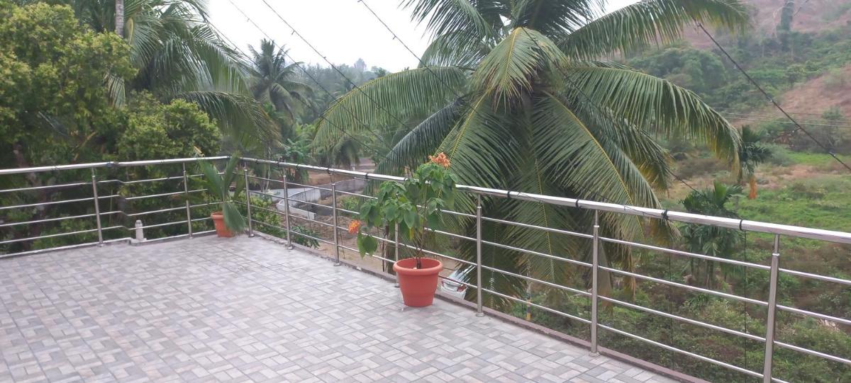 Pibo Homestay - Housity