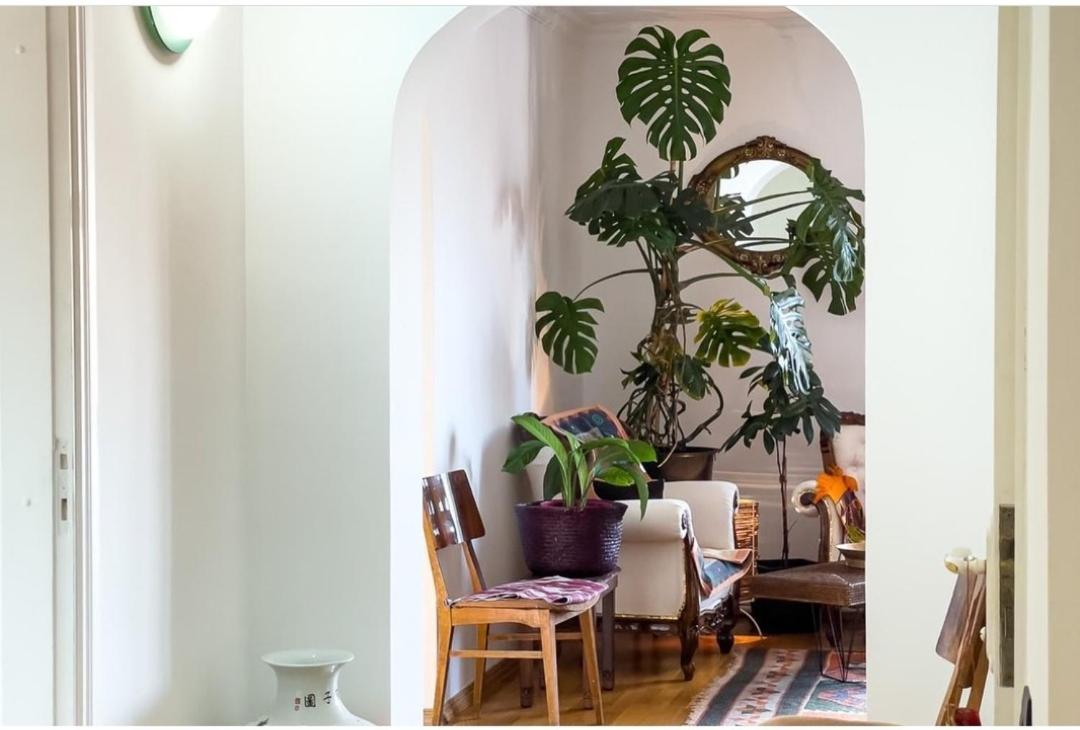 Boho.36 - Housity
