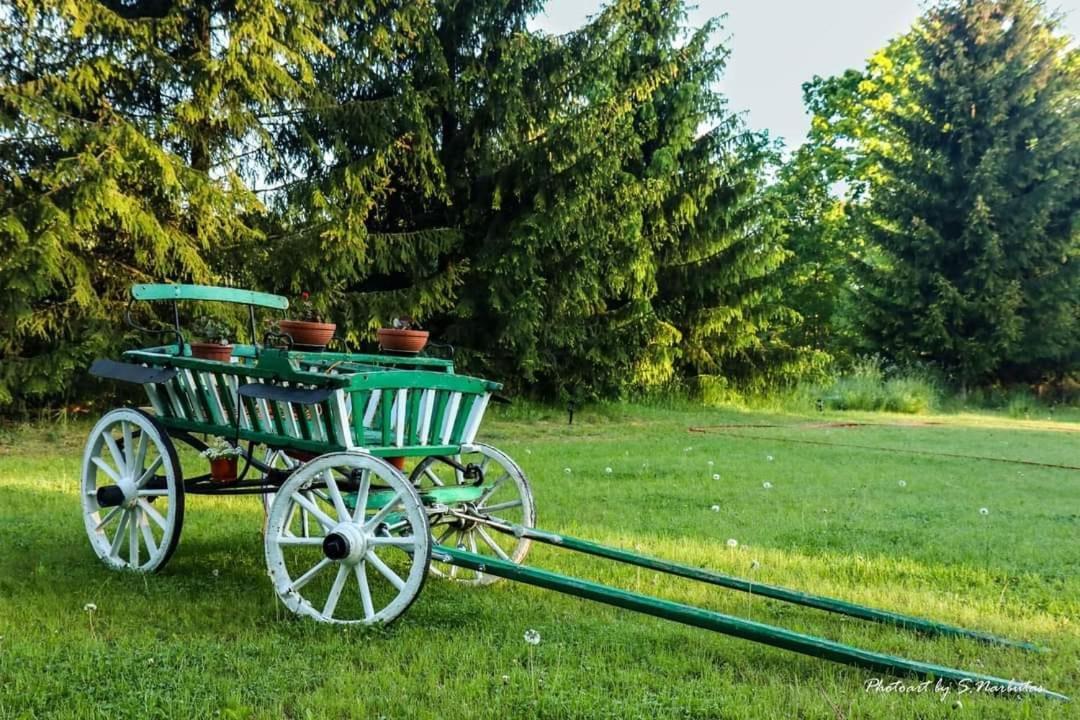 Sodybos Narūnas namelis po egle - Housity