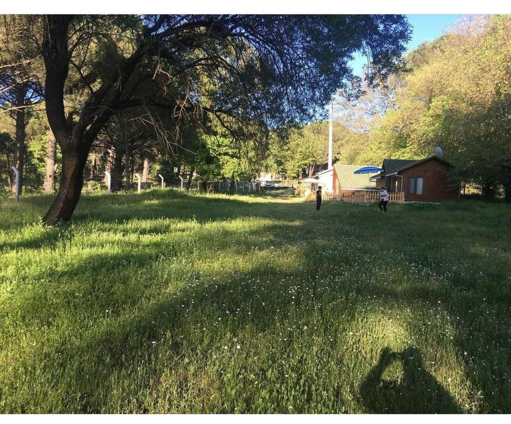 Suitetrails - Nilüfer evi