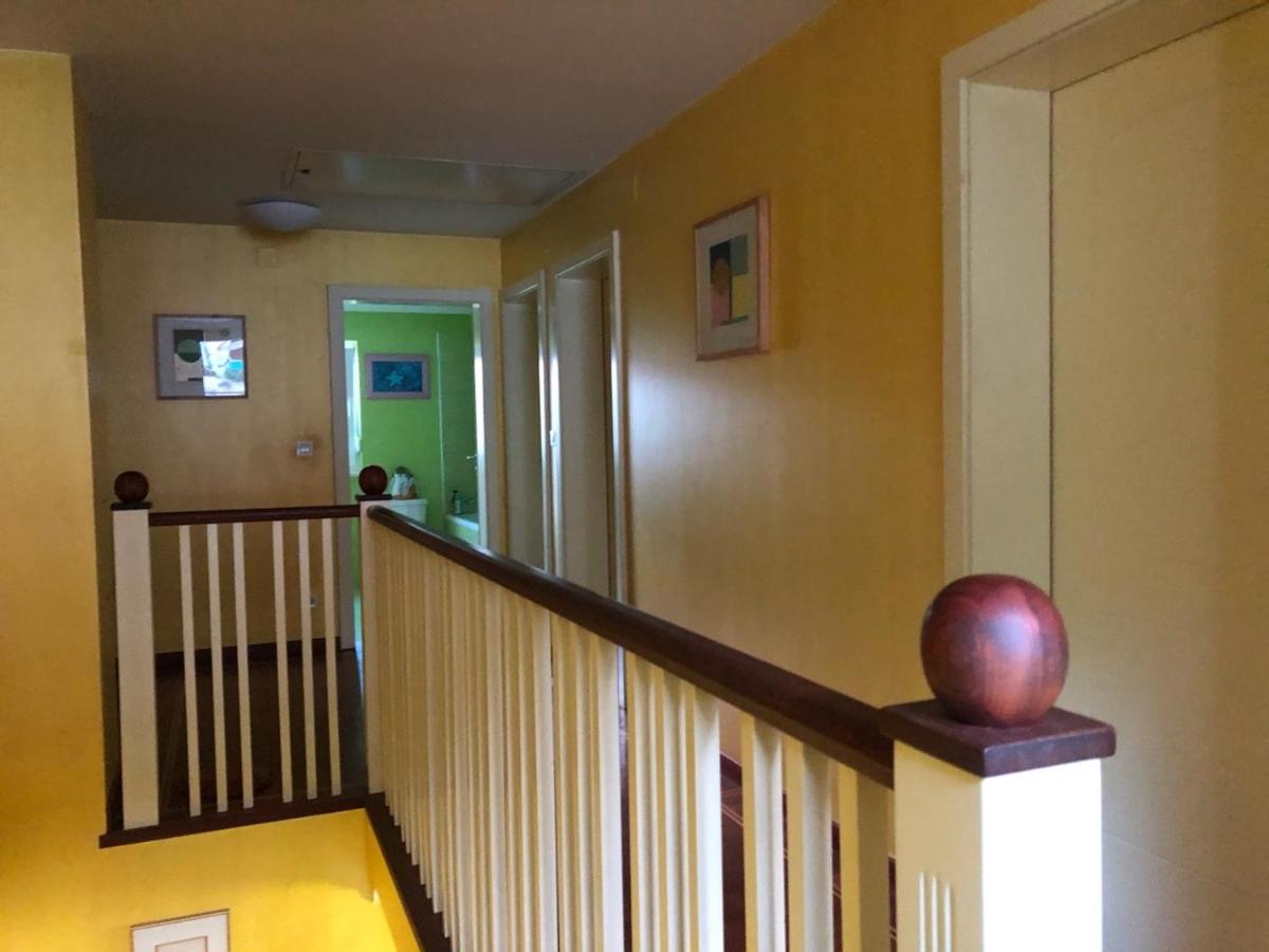 Pod bori - Housity