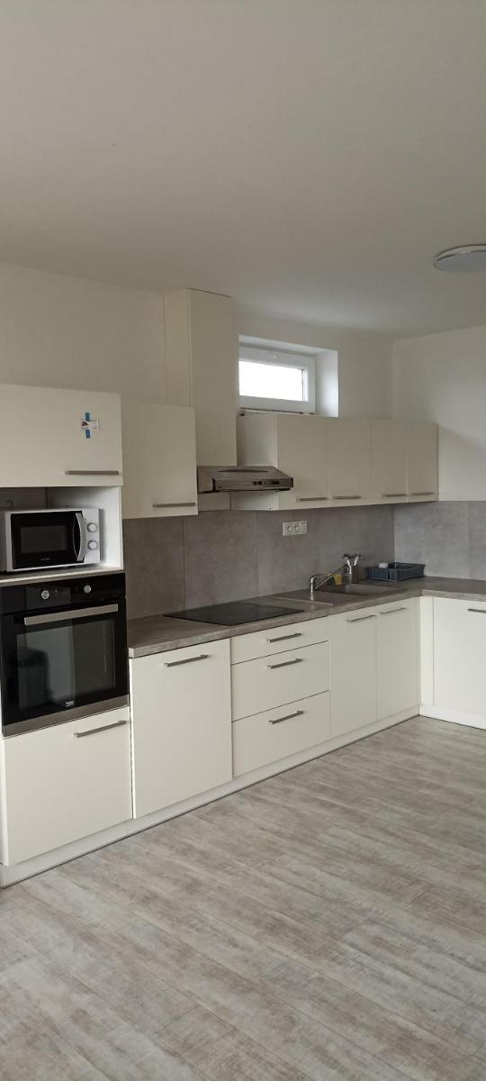 Apartmán Rudoltice - Housity
