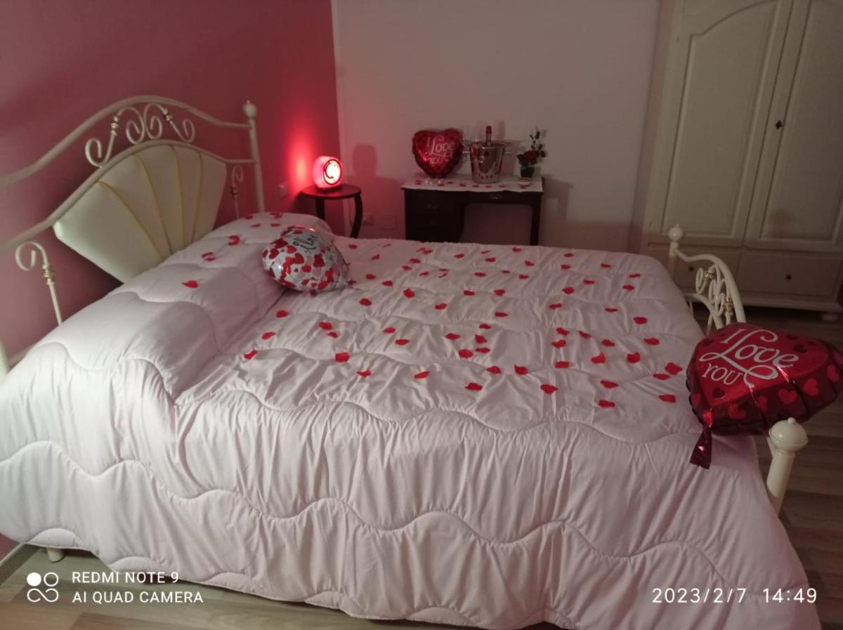 Mandevilla Home - Hizvo