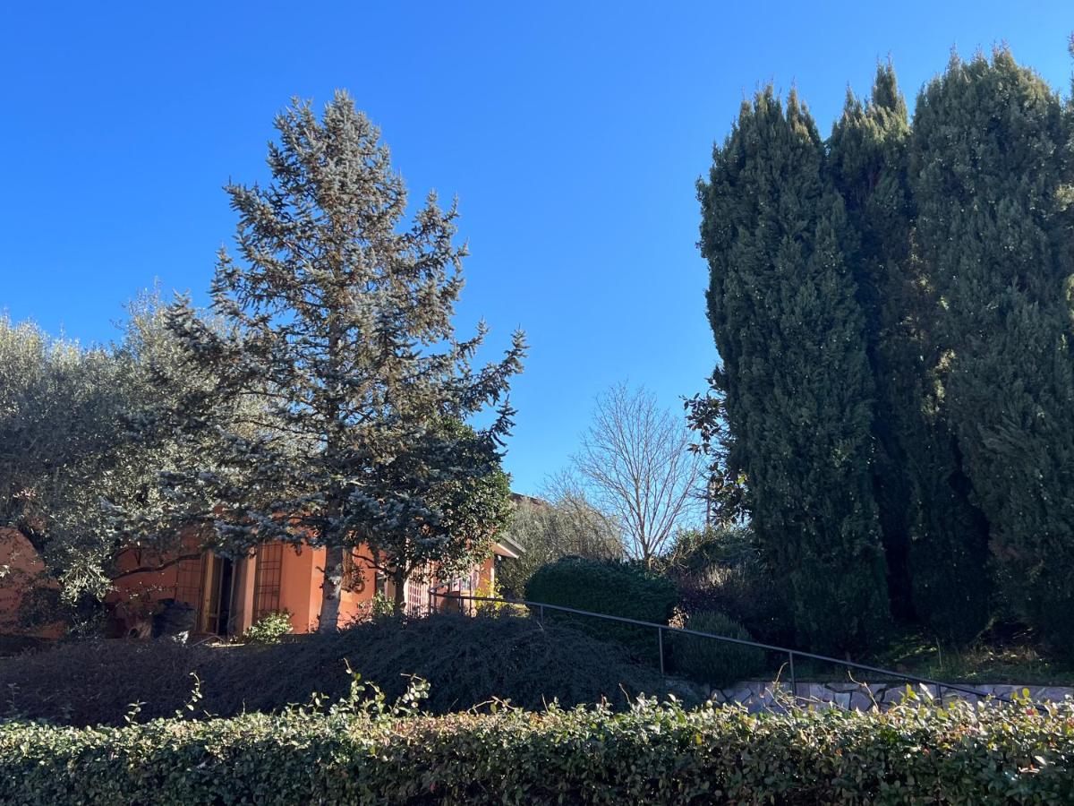 La casetta di Artena Studio - Housity