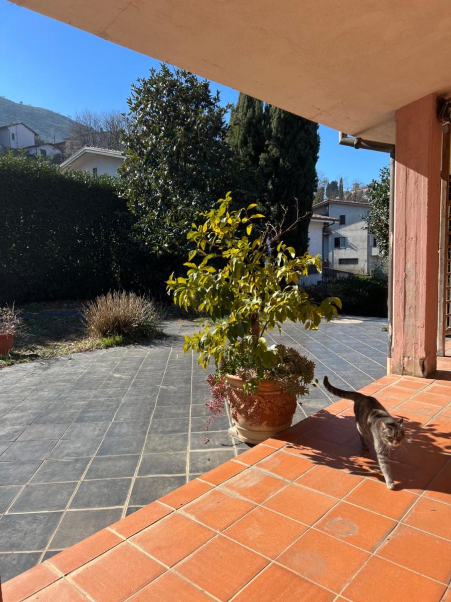 La casetta di Artena Studio - Housity