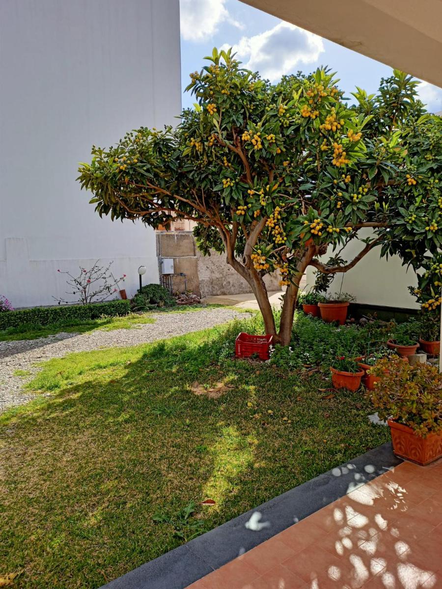 A Nespulara - Housity